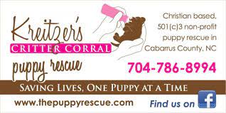 I'm a widow but live with my rescue dogs: Pets For Adoption At Kreitzer S Critter Corral Puppy Rescue In Kannapolis Nc Petfinder