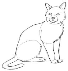 We have prepared a tutorial to give users an example to work from, as well as some useful drawing tips to help everyone out along the way. Guide To Drawing Cats Kittens With Step By Step Instructional Tutorial Lesson How To Draw Step By Step Drawing Tutorials