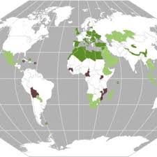 Image result for Crepidorhopalon parviflorus