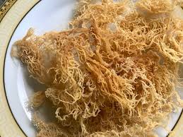 Sea moss can make you feel sick especially if you are new to it. Sea Moss Aka Irish Moss Or Red Algae 5 Easy Steps To Prepare It