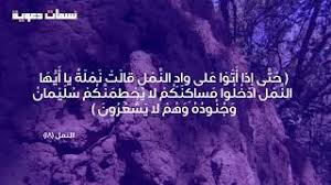 التمس لأخيك عذر ا للاستاذ طلال العامر جمعية الإصلاح الاجتماعي قطاع الدعوة وتثقيف الشرعي Ruslar Me