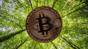 My entire life is changed thanks to that fateful decision in the fall of 2013. Bitcoin Carbon Footprint The Future Of Online Payments Ecobahn