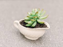 We did not find results for: Repurposed Planters Hgtv