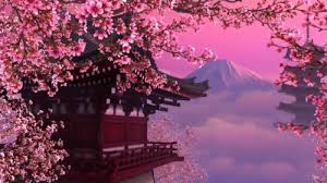 237 Cherry Blossom Hd Wallpapers Cherry Blossom Japan Hd 440742 Hd Wallpaper Backgrounds Download Download wallpapers japan for desktop and mobile in hd, 4k and 8k resolution. 237 cherry blossom hd wallpapers