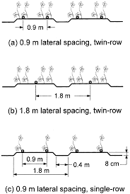 When the spanish explored the new. Surface Drip Irrigation Lateral Spacing Configurations With Single Row Download Scientific Diagram