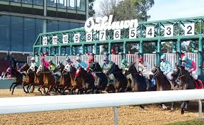 To receive free brisnet handicapping tools such as past performances players download selected track and make one wager then your account will be credited the amount of selected download. Derby Points Up For Grabs In Smarty Jones At Oaklawn Park Turfnsport Com