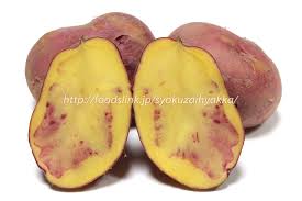 写真で見るアンデスレッド ネオデリシャス レッドアンデス アンデス赤 ジャガイモの品種 旬の野菜百科