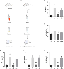 We did not find results for: Effect Of Acupuncture On Inflammatory Cytokines In Ova Induced Mouse Download Scientific Diagram