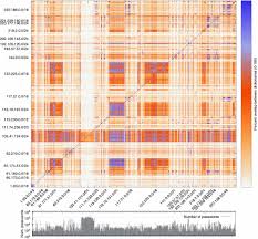 Maybe you would like to learn more about one of these? What Lies Beneath Analyzing Automated Ssh Bruteforce Attacks Springerlink
