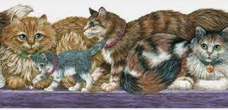 Fluffy Longhair Cat Kitten Wallpaper Border 15 Ft Isb4102b Bedroom Vet Office Kitten Wallpaper Wallpaper Border Cat Wallpaper