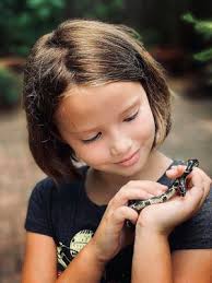 WILD GEORGIA: Eastern kingsnake gets special attention in Atlanta