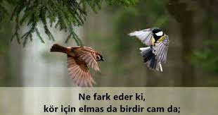 Ebru Tatari Adli Kullanicinin Sozler Panosundaki Pin Guzel Soz Ozlu Sozler