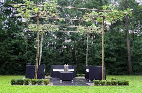leibomen en modelsnoei lesmateriaal wikiwijs tuin ideeen tuin tuin inspiratie
