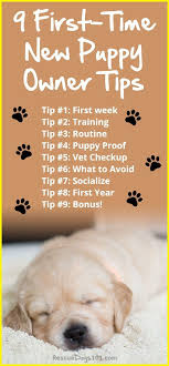 First Time Dog Owners Guide Checklist Tips New Puppy Puppy Time Bringing Home Puppy
