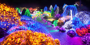 Image result for Garden of Morning Calm