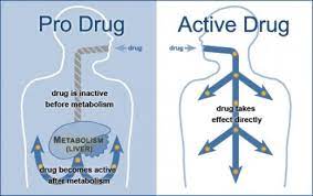 Pin On E Pharmacology