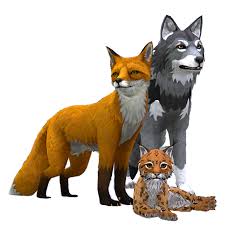 Wildcraft Animal Sim Online 3d Play Now Turbo Rocket Games Animals Animal Jam Animal Games