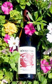 Maybe you would like to learn more about one of these? Waxwing 2013 Spring Hill Vineyard Sonoma Coast Pinot Noir