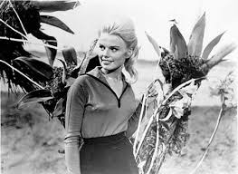 Marta Kristen Famousfix