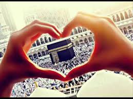 صوري حلوه اجمل الصور كيوت