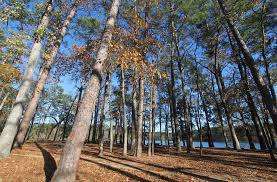 Floaties are provided at arrival. 4 Activities Around Huntsville Tx Republic At Sam Houston
