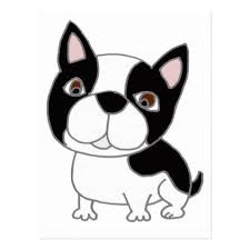 Black And White Boston Terrier Cartoon Funny Boston Terrier Puppy Dog Cartoon Postcard Dog Puppy Dogs Doggy Pup Hound Love Pet Best Boston Terrier Funny Boston Terrier Tattoo Boston Terrier Puppy
