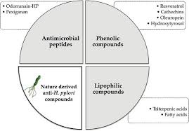 Nonantibiotic Based Therapeutics Targeting Helicobacter Pylori From Nature To The Lab Intechopen
