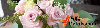 We did not find results for: Singapore Florist Mothers Day Flowers Singapore Sgpetals Singapore Sgpetals Com