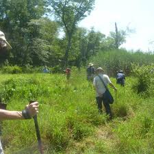 Check spelling or type a new query. Maryland Native Plant Society Home Facebook
