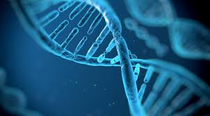 At biontech we believe that every cancer patient's treatment should be individualized. Pharmaboardroom Lithuania S Biotech Potential