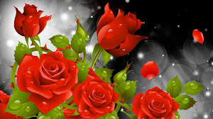 Pin By Mark On Red Rose Flower Wallpaper Wallpaper Nature Flowers Red Flower Wallpaper