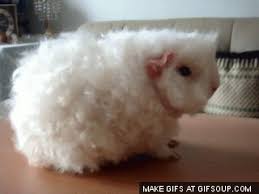 Https Encrypted Tbn0 Gstatic Com Images Q Tbn And9gcqm4okfcvypqbsnyezyfvpjtuxeuizwrnf8sw Usqp Cau