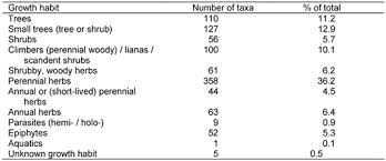Image result for Agelanthus unyorensis