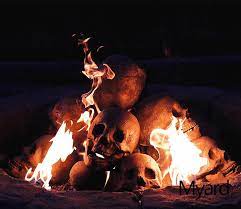 These will burn best on existing coals and placed upright and level on a wood fire pit or campfire grill. Skull Shaped Logs For Fireplace Skull Log Halloween Decor
