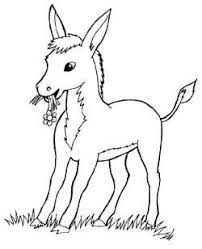 Coloriage Anon Coloriage Cheval Coloriage Ane Dessin
