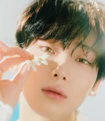 Aiden Wu (aidenwu714)