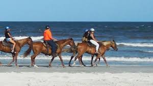 Happy trails walking horses of amelia island, fl offers guided horseback rides through lush and abundant natural forests, and pristine white sand beaches. Happy Trails Walking Horses Llc Fernandina Beach Destimap Destinations On Map