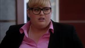 Super Fun Night (TV Series 2013–2014)