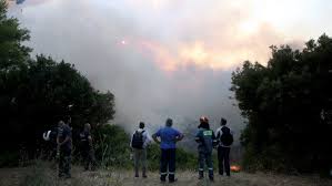 Σύμφωνα με την πυροσβεστική, λίγο μετά τον εντοπισμό της φωτιάς κινητοποιήθηκαν επίγειες και εναέριες δυνάμεις. D L Gjvxtjoqhm