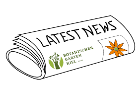 3,901) is a thriving community in eastern wisconsin that prides itself on progress while maintaining the values of small town living. News And More Botanic Gardens Kiel