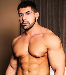 Damien Stone - IMDb
