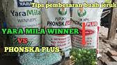 We did not find results for: Penjelasan Pupuk Npk 16 16 16 Yaramila Cara Penggunaan Dan Manfaat Untuk Tanaman Youtube