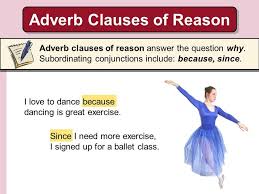 (this is a normal adverb. Adverb Clauses Of Reason Grammar Quiz Quizizz