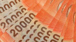 Los hogares con pago automático o aquellos que se inscribieron en julio pueden revisar los detalles de pago a partir del 29 de julio. Xk2xguf7wdptdm