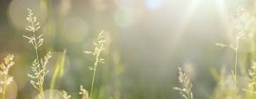 337 free images of zoom backgrounds / 4. Free Nature Background Photos Images Download Stock Images Free Pikwizard
