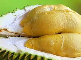 D7 durian d7 tempat daftar, asal: 9 Jenis Durian Di Malaysia Tip Tip Untuk Memilih Durian Yang Terbaik