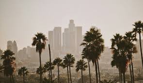 Los Angeles Braces for Mild Weather with Foggy Mornings and Chance of Weekend Sunshine