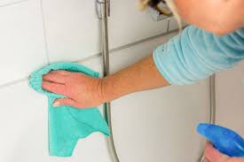 200 ml deterdek in 2. Fliesen Und Fugen Putzen