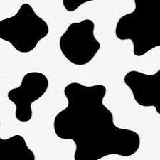 Ella Nove Ellanove - Profile Pinterest