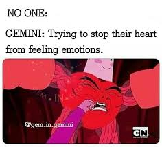 Gem In Gemini On Instagram Stoping Emotions Hurt A Lot But Vulnerability That Comes After Catching Emotio Funny Memes Tumblr Funny Memes About Girls Memes